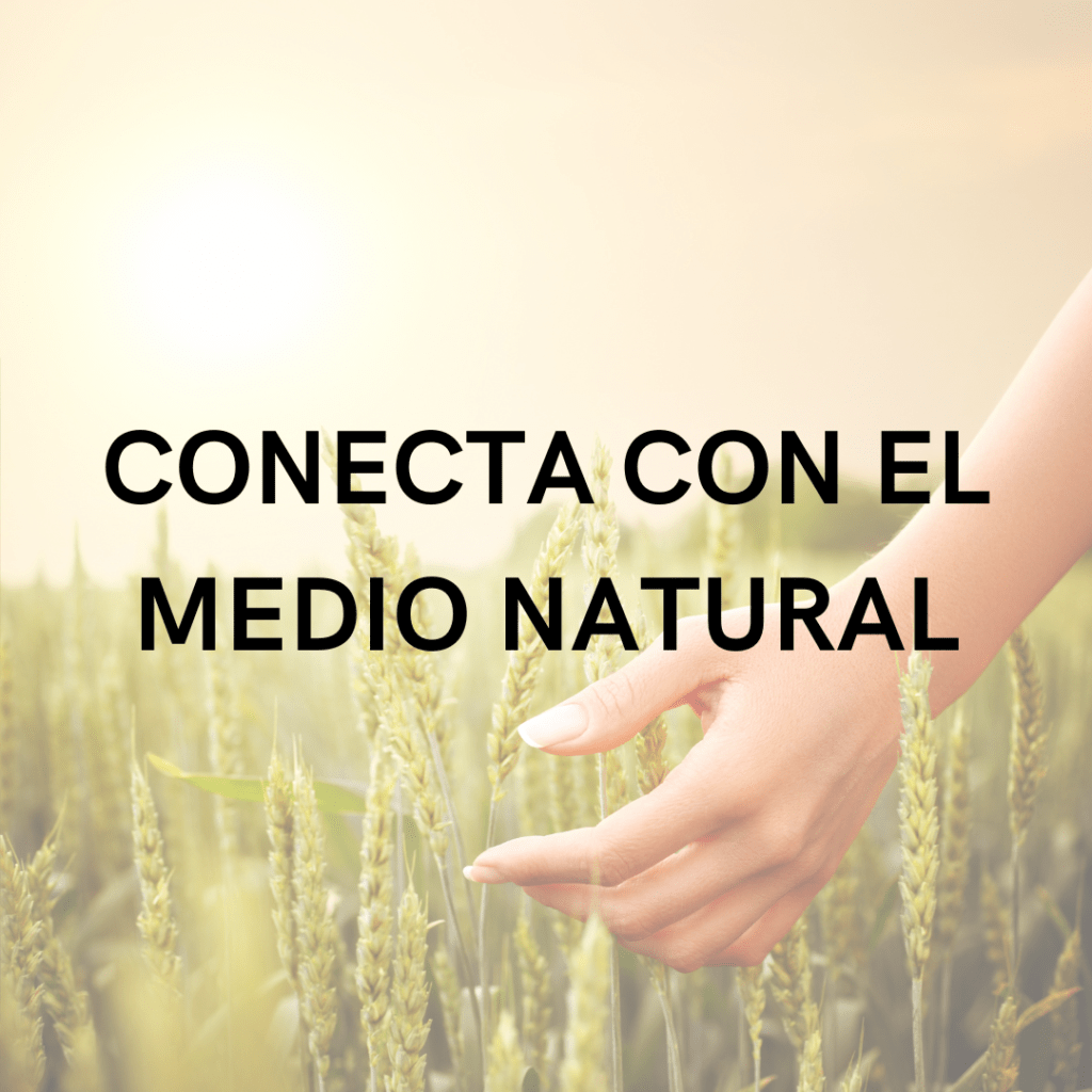 NUTRI-3-1 conecta con el medio natural y alimentación saludable
